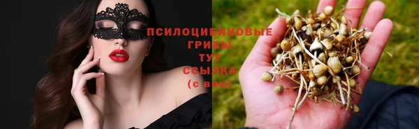 дживик Ладушкин