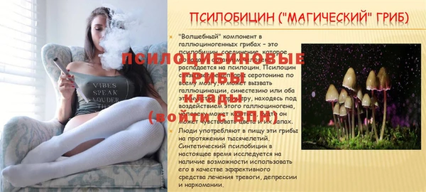 дживик Ладушкин