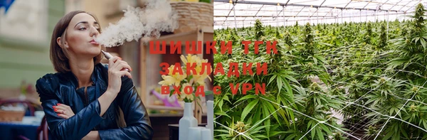 стафф Лабытнанги