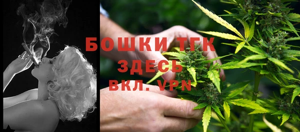 дживик Ладушкин