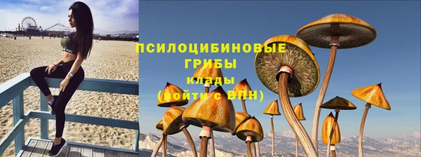 стафф Лабытнанги